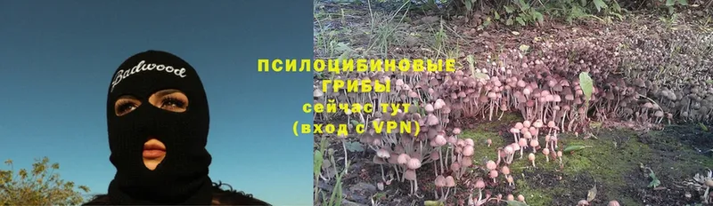 Галлюциногенные грибы Psilocybe  Батайск 